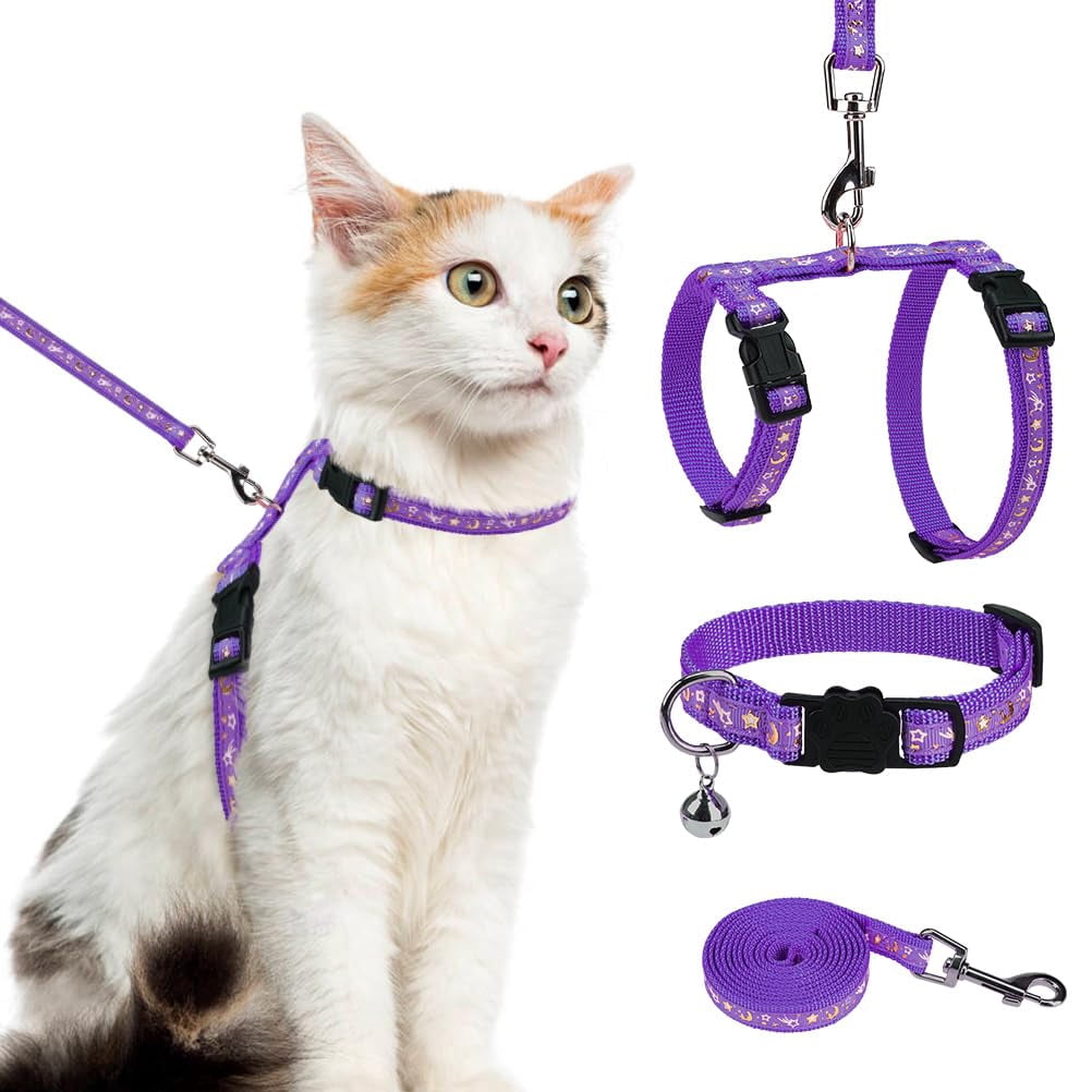 Curated visual reference: Picture Idea: Cat Harness With Leash And Collar Set Escape Proof Adjustable