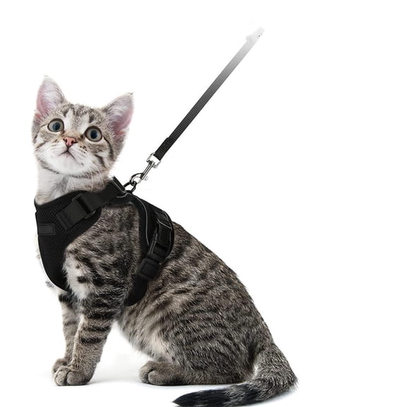 Cat Harness and Leash, Escape Proof Adjustable Jacket with Lead for Small to Medium-Sized Dogs and Cats Outdoor Walking, Soft Breathable Mesh Coat,Front Clip Training Vest(Black)