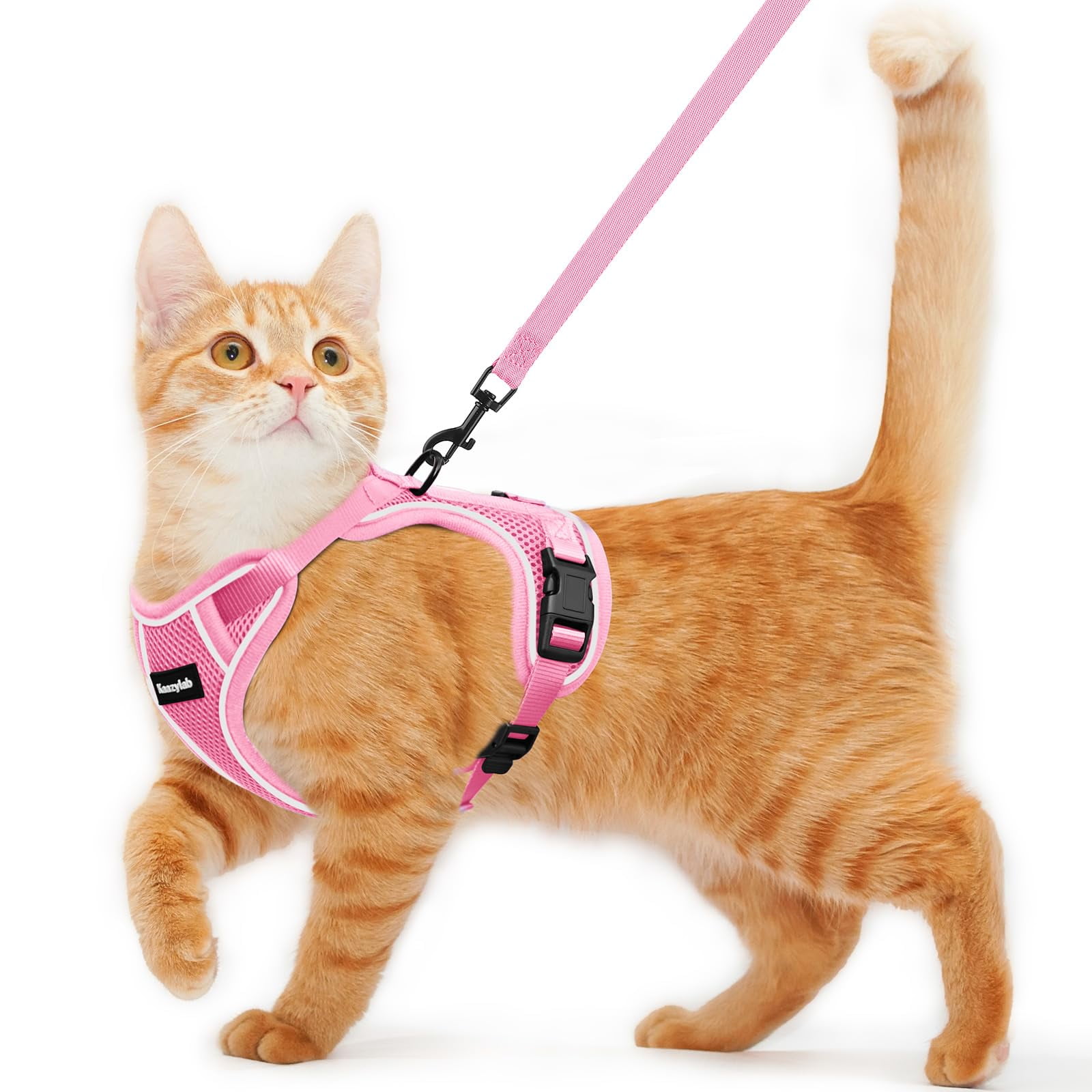 Cute Cat Harness And Leash Breathable Cat Harness Vest Leash Set