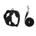 thumbnail image 1 of Cat Harness and Leash Set, Escape Proof Adjustable Kitten Vest Harness for Walking, Soft Breathable Mesh Jacket, Easy Control for Cats with Leash Included, Black, 17.5", 1 of 4