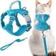 thumbnail image 1 of Cat Harness and Leash Set Escape Proof for Kitten Walking, Soft Adjustable Top Handle Vest Harnesses for Cats, Easy Control Breathable Reflective Small Medium Large, Blue,XS, 1 of 9