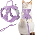 thumbnail image 1 of Cat Harness and Leash Set Escape Proof for Kitten Walking, Soft Adjustable Top Handle Vest Harnesses for Cats, Easy Control Breathable Reflective Small Medium Large, Violet Purple, XS, 1 of 10