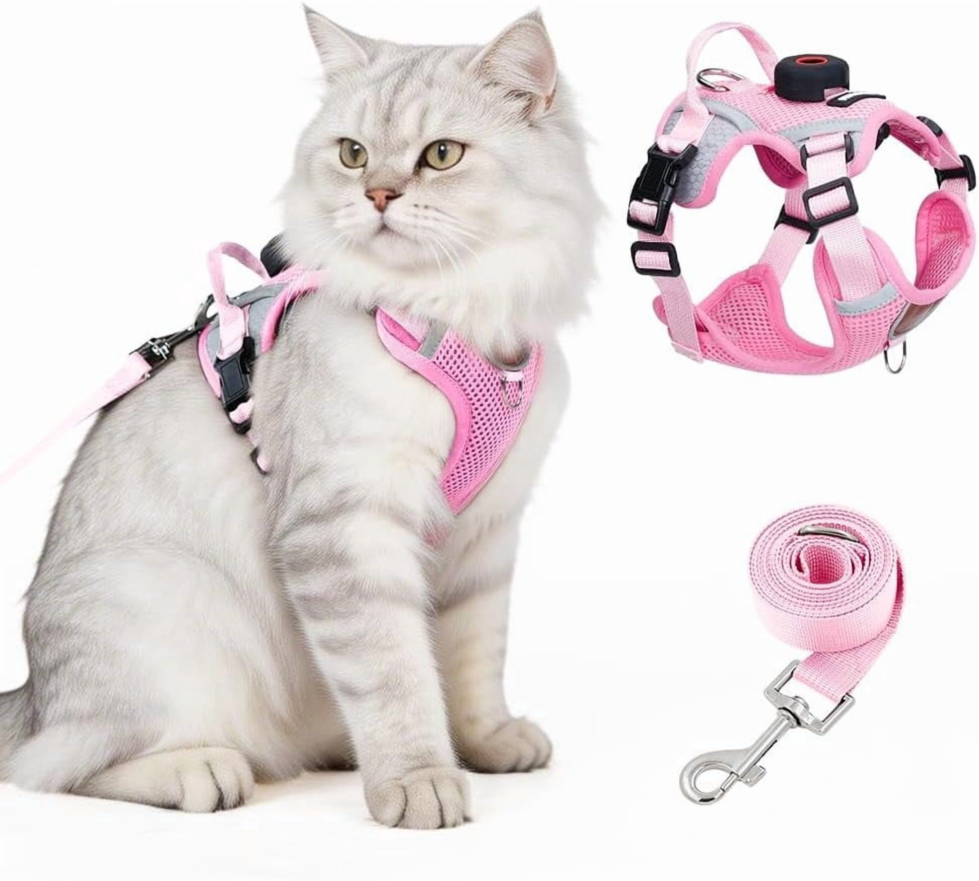 Fresh Look at Cat Harness And Leash Set With Holder Compatible With Airtag