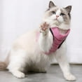 thumbnail image 1 of Cat Harness and Leash Set for Walking, Escape Proof Soft Adjustable Vest Harnesses for Cats, Easy Control Breathable Striped Jacket,Step-in Comfortable Outdoor Vest, 1 of 12