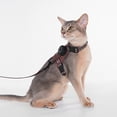 thumbnail image 1 of Cat Harness Leash Set XS Chest Strap Escape Proof H-Shape • Reflective Thread 150cm Lead • GPS Tracker Pouch • Adjustable Comfort Design, 1 of 8