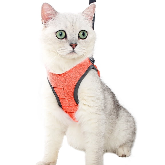 Cat Harness and Leash - Ultra Light Escape Proof Kitten Collar Cat Walking Jacket with Running Cushioning Soft and Comfortable Suitable for Puppies Rabbits