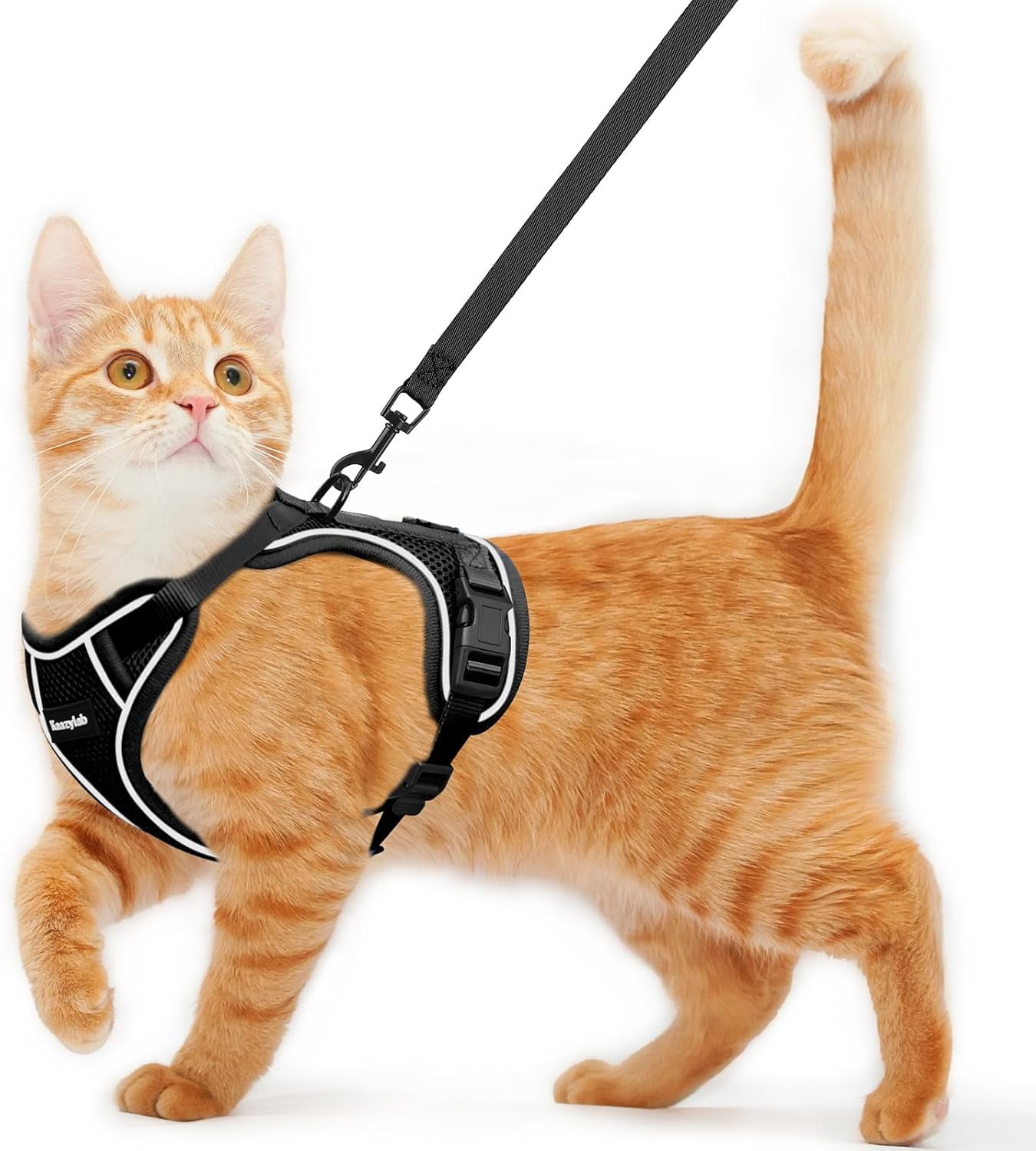 Cat Harness and Leash for Walking Escape Proof Soft Adjustable Cat Leash Breathable Comfortable Vest Easy to Wear Kitten Harness for Outdoor Travel (Black, XS (4-6lb))