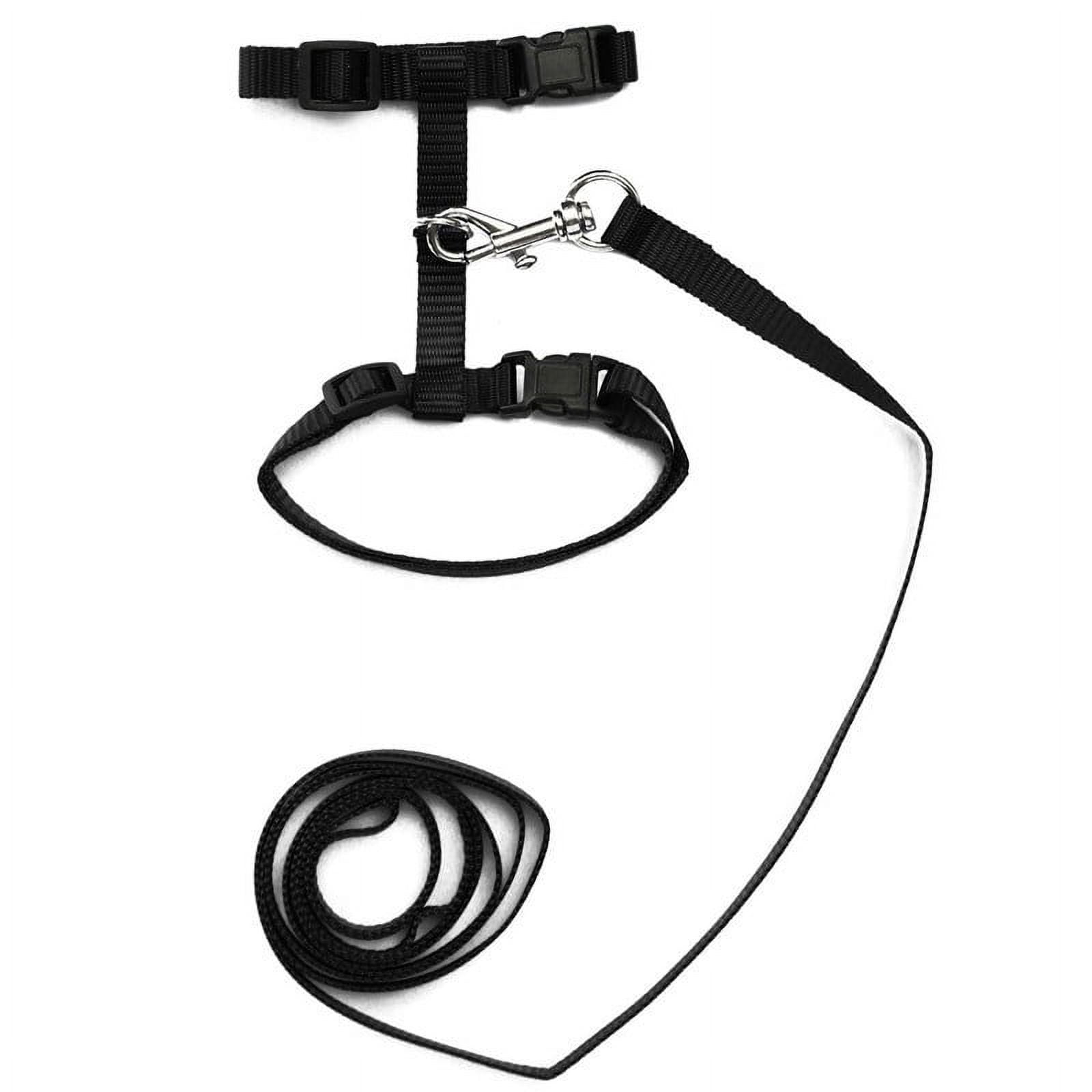 Cat Harness and Leash Adjustable Nylon Halter Harness Kitten Nylon ... - Cat Leash Harness With Extra-Long Straps