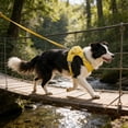 thumbnail image 1 of Cat Harness and Leash Escape Proof, Adjustable Soft Mesh Vest with Flower for Small Dogs, Cats, Puppies, Travel Walking Pet Vest Harness, 1 of 6