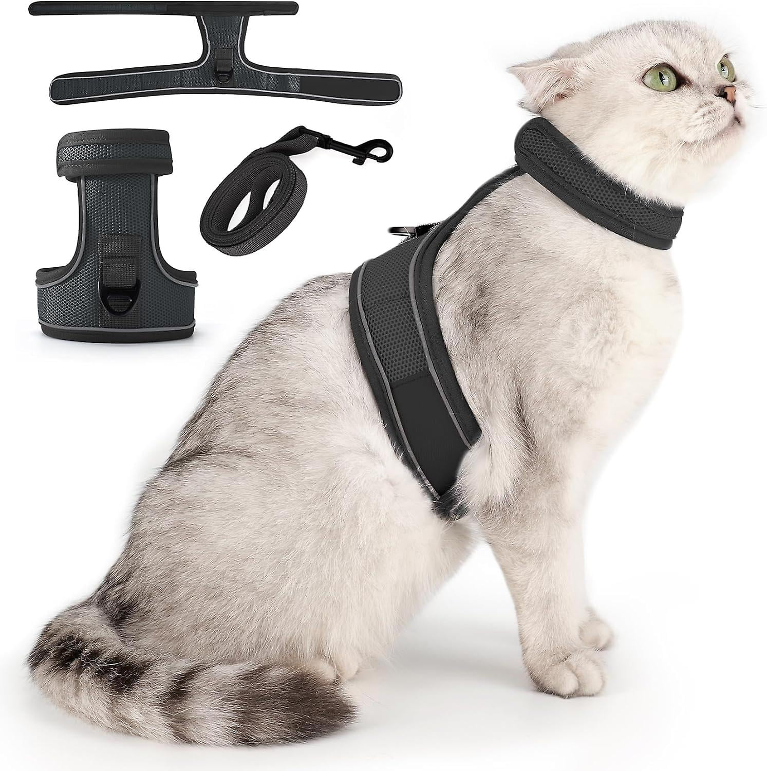 automatic cat toy ball Interactive Cat Ball Toy With Bird Chirping Sound and Tail – Purry Savage main image 1