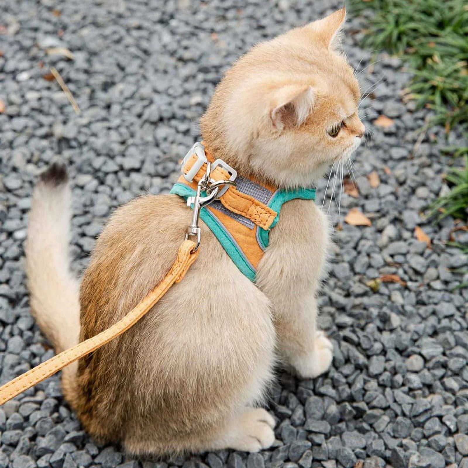 Cat Harness and Leash Set Escape Proof Kitten Harness Adjustable Cat Vest Harness Universal Cat Leash and Harness for Cats Puppies Outdoor Walking Walmart