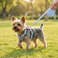 thumbnail image 1 of Cat Harness and Leash Set H Shape Escape Proof Adjustable for Kitten Ragdoll small Dog Outdoor Walking Breathable, 1 of 6