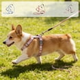 thumbnail image 1 of Cat Harness and Leash Set H Style Breathable Adjustable Escape Proof Reflective Walking Vest for Cats Small Dogs Outdoor Travel by PALIFEUR, 1 of 7