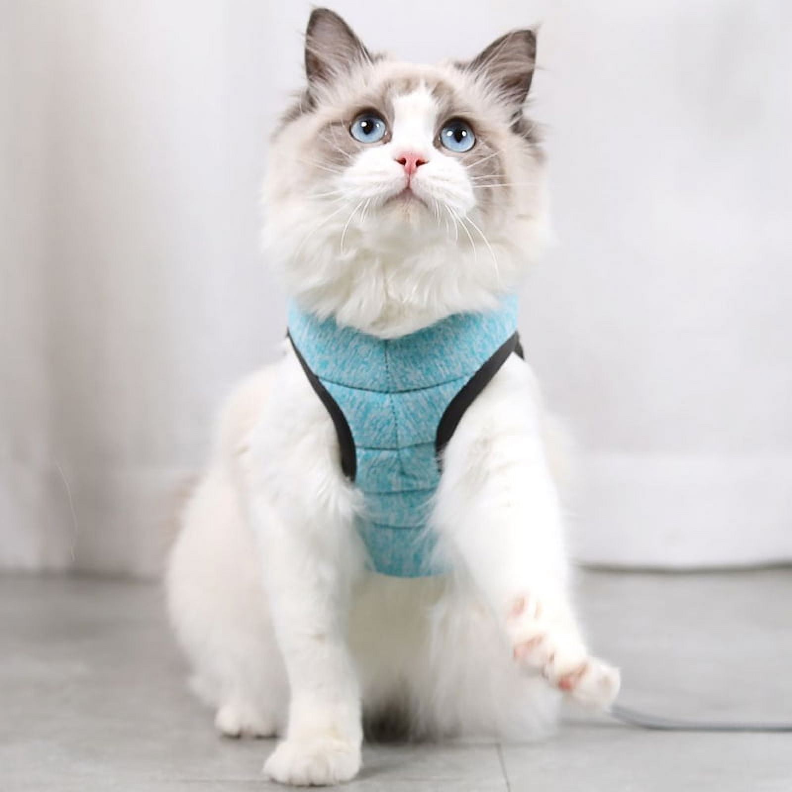 Cat Harness and Leash for Walking, Escape Proof Soft Adjustable Vest