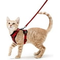 thumbnail image 1 of Cat Harness and Leash for Walking, Escape Proof Soft Adjustable Vest Harnesses for Cats, Easy Control Breathable Reflective Strips Jacket, Black, S, 1 of 8