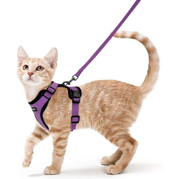 Cat Harness and Leash for Walking, Escape Proof Soft Adjustable Vest Harnesses for Cats, Easy Control Breathable Reflective Strips Jacket, Black, S