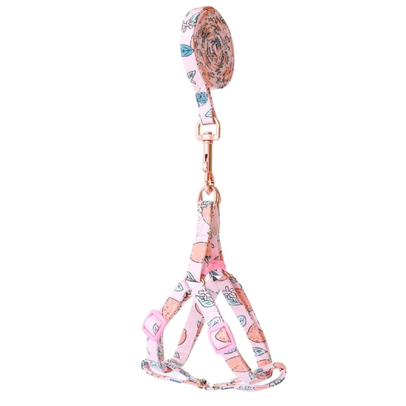 Cat Harness with Leash, Fruit Pattern Step in Dog Harness Vest, Adjustable Lightweight Pet Harness for Cat Puppy Small Dogs Peach L