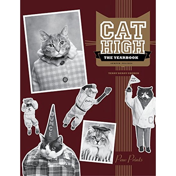 Pre-Owned Cat High: The Yearbook (Paperback) 1452140235 9781452140230