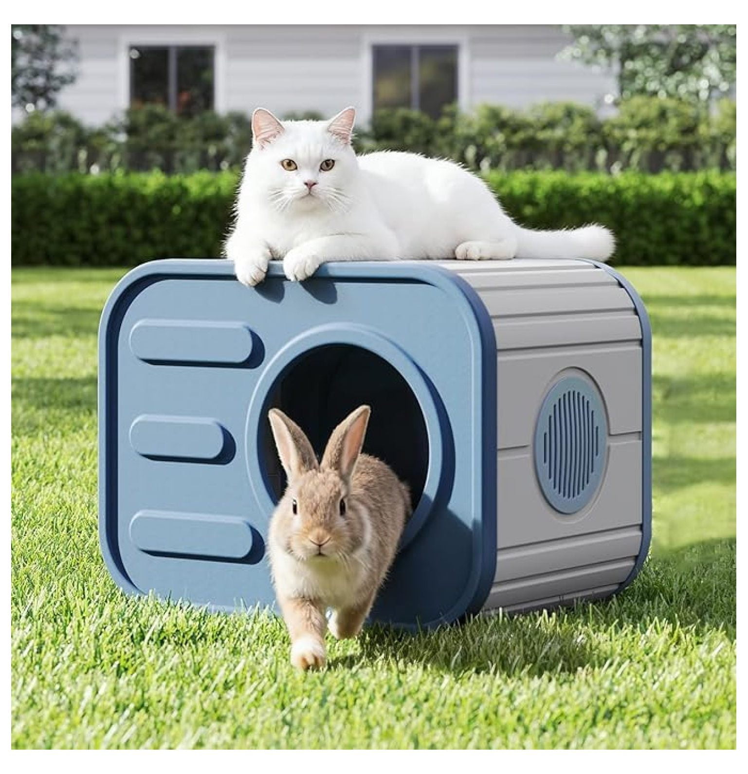 Cat House Weatherproof Cat House with Camera-Shaped Design, Plastic Pet House for Indoor and Outdoor Use, Ventilated Spacious for Home & Garden (Blue)