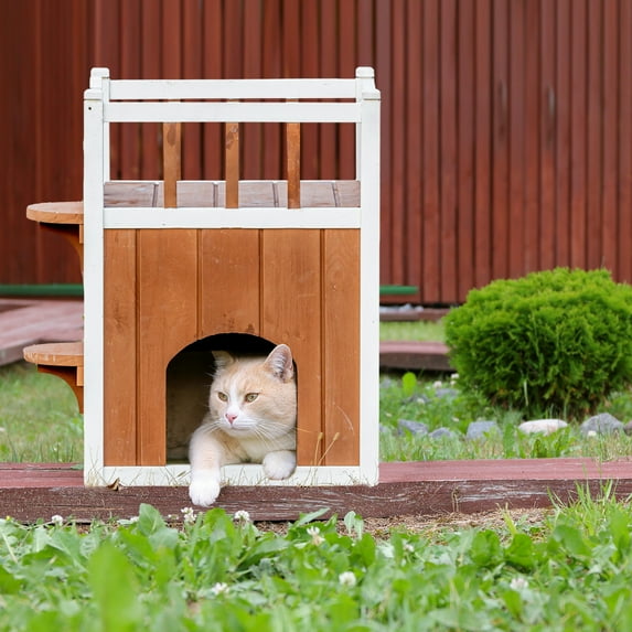 Cat House with Belcony