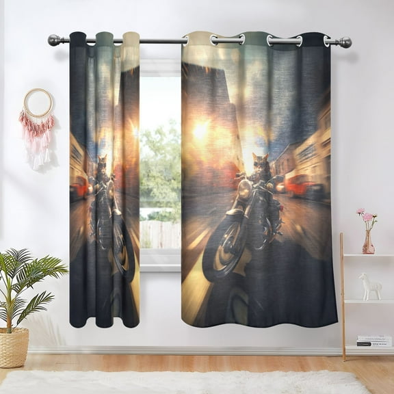 Cat Houses Cars Motorcycle Blackout Curtains Thermal Insulation 63 inch Grommet for Bedroom Living Room Bathroom Kitchen Windows 2 Pack