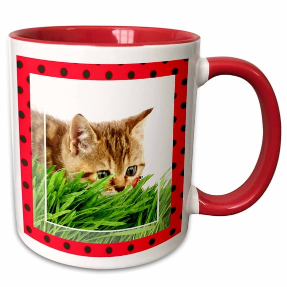 3drose, Cat Hunting Ladybug, 15oz Two-tone Red Mug