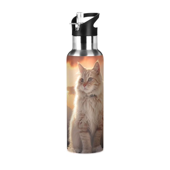 Cat Iceberg Clouds Sunlight Sports Water Bottle with Straw Lid Insulated Stainless Steel Leak Proof BPA Free Thermal Mug with Handle for Gym Yoga Cycling Camping