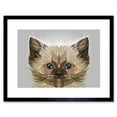 thumbnail image 1 of Cat Illustration Persian Kitten Art Print Framed Poster Wall Decor 9x7 inch, 1 of 5