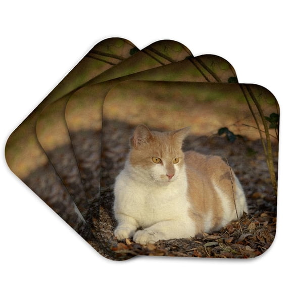 3drose, Cat in the Backyard, Set of 4 Coasters - Soft