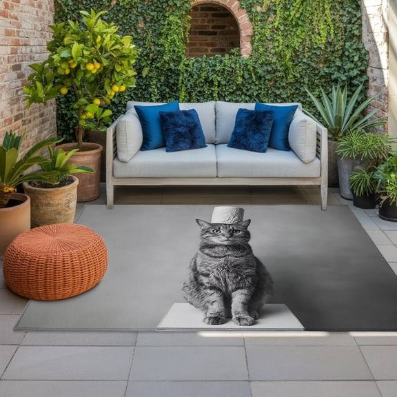 Cat Indoor Outdoor Rugs 3x5 Ft, Toilet Paper Funny Animal Outdoor Patio Rugs Mat Washable Outside Area Rugs Carpet for Porch Deck RV Camping Pool Balcony Backyard