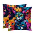 Cat Inserts Set 2Pack Decorative Pillows with Unique Patterns for
