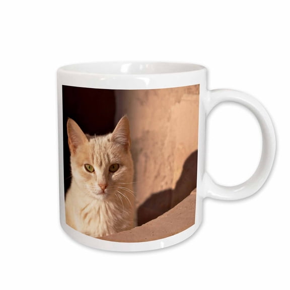 3drose, Cat Inside Kasbah De Taourirt. Same Clay Color.-af29 Mme0055 - Michele Molinari, 15oz Mug