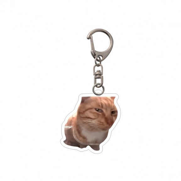 Cat Keychain Cute Cat Meme Keychains Two Cats Talking Keyring Kawaii Charm Keychain Funny Gift For Friend, Multi, 2in