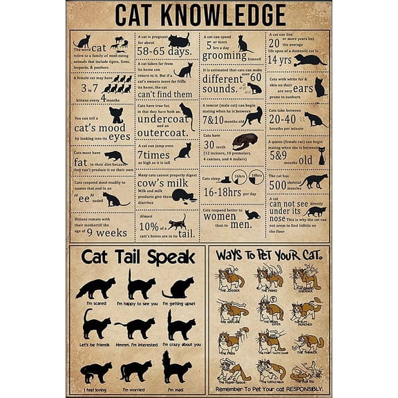 Cat Knowledge Tin Sign Black Cat Kitchen Decor Poster Cat Smoke Poster Bar Bathroom Bar Garden Home Outdoor Wall Decoration Metal Tin Signs 8x12 Inch