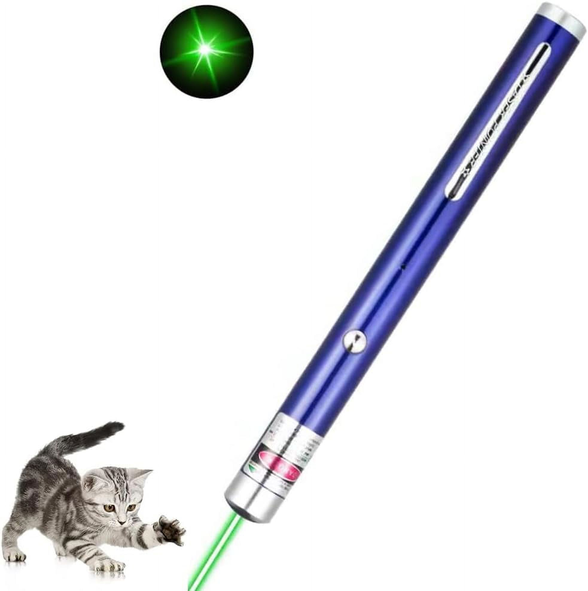 Cat Laser Pointer for Cats, Red Green Laser Pointer Cat Toys for Indoor