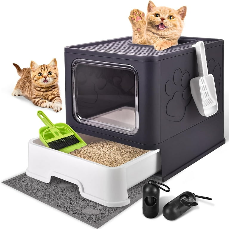 Cat litter box odor free best sale