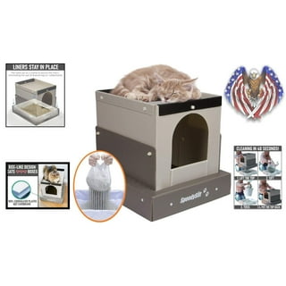 Kitten starter kit walmart online