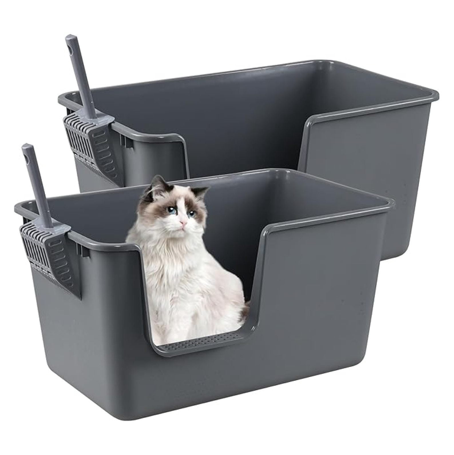 Cat Litter Boxes 2-Pack, Large High-Sided Plastic Litter Box Basin - Gray, 24.4x15.2x12.7 Inches, Open Top, Low Entry, Durable Plastic