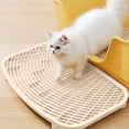 thumbnail image 1 of Cat Litter Mat | Double-Layer Paw Cleaning & Sand Control | Non-Slip Bathroom Floor Mat for Litter Box Areas, 1 of 5