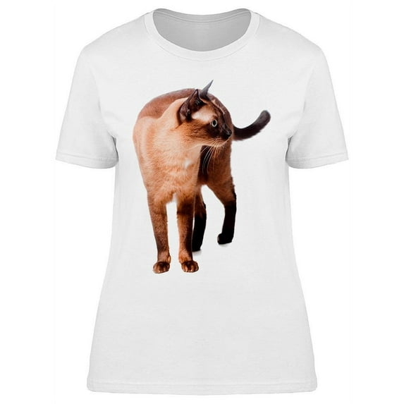 Cat Looking With Curiosity T-Shirt Women -Image by Shutterstock, Female Large