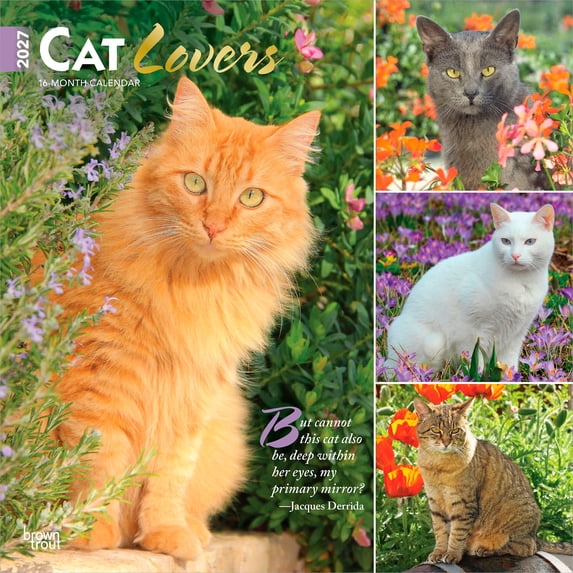 Cat Lovers | 2027 12x24" (Hanging) Wall Calendar | Plastic-Free | BrownTrout