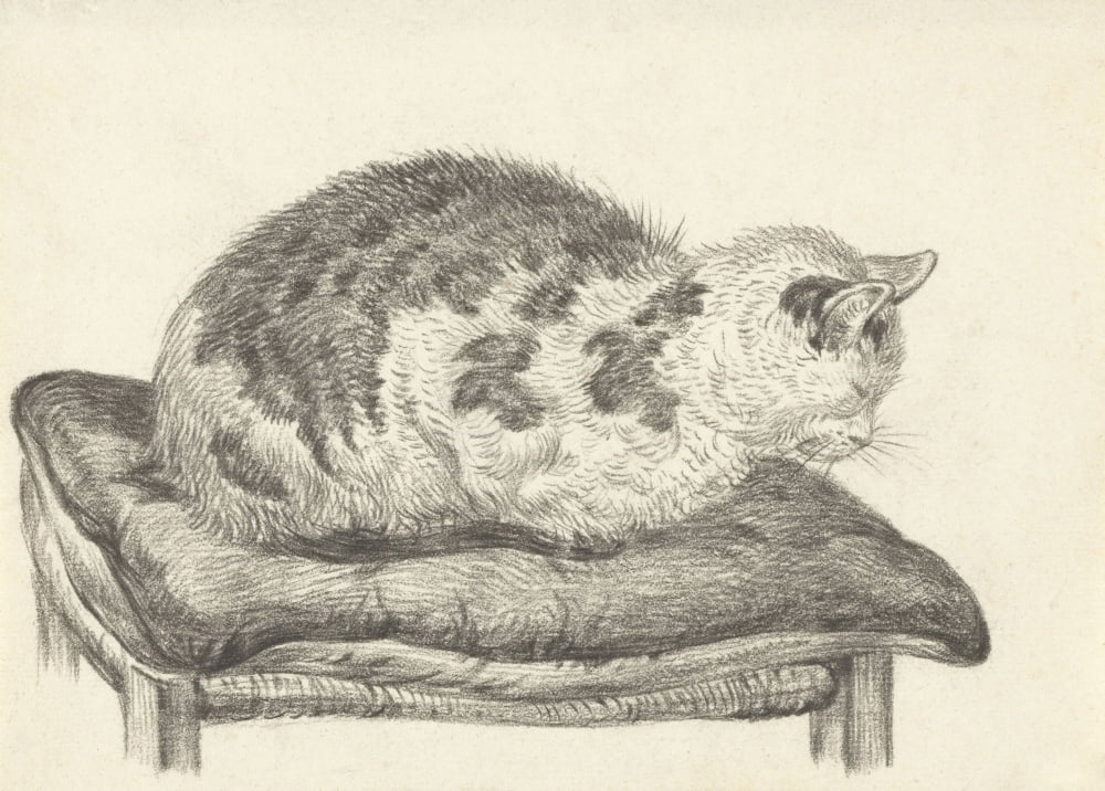 Cat Lying On A Cushion Canvas Art - (24 x 18)