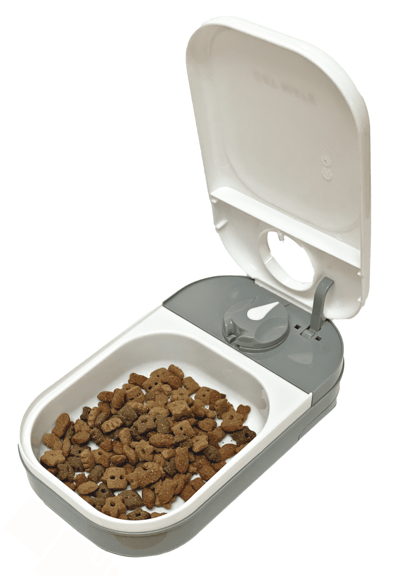 The 10 Best Automatic Dog Feeders to Simplify Your Pet's Meals