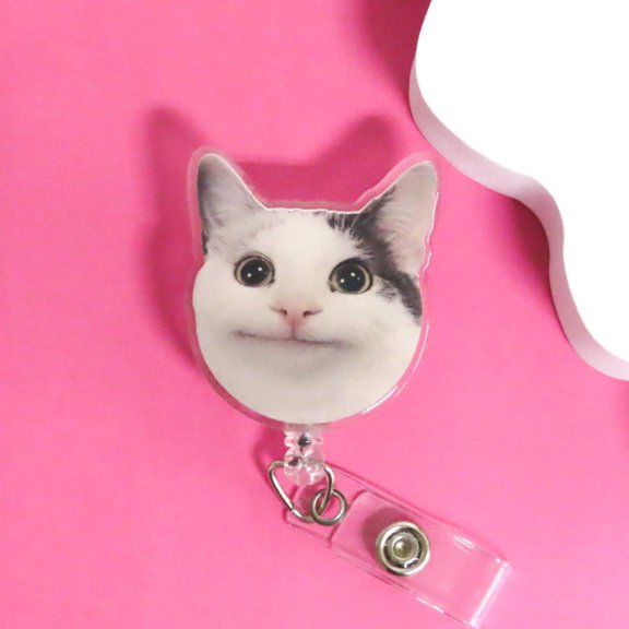 Cat Meme Badge Reel, Nurse Teacher ID Badge, Funny Coworker Gift