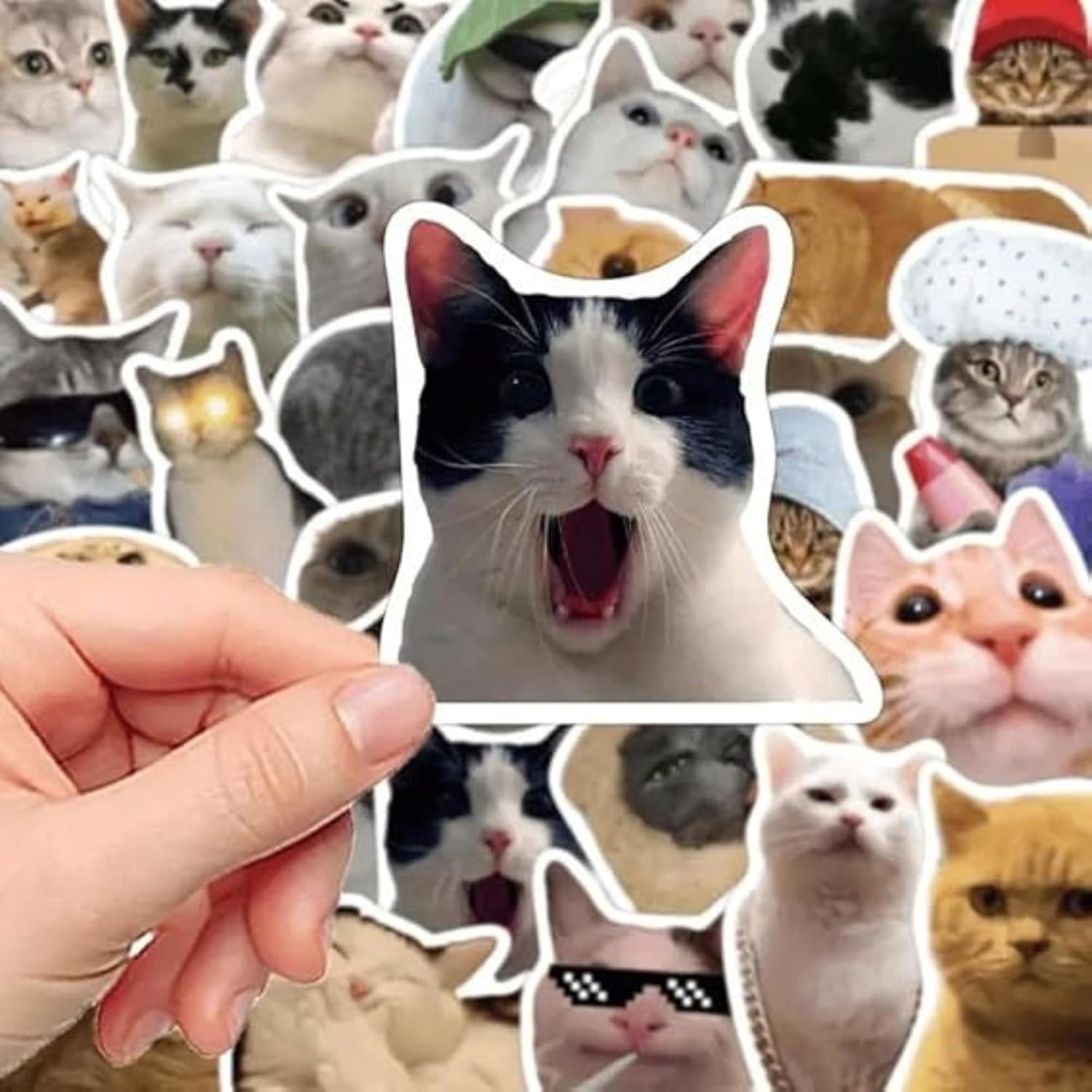 Cat Meme Stickers, Funny Cat Stickers for Kids Adults Journaling Adults ...