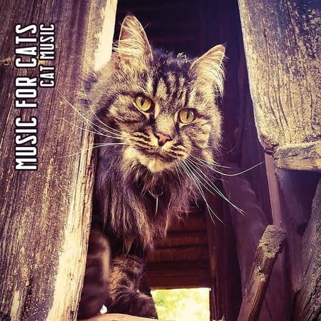 Music for Cats Cat Music (CD) Album Digipak