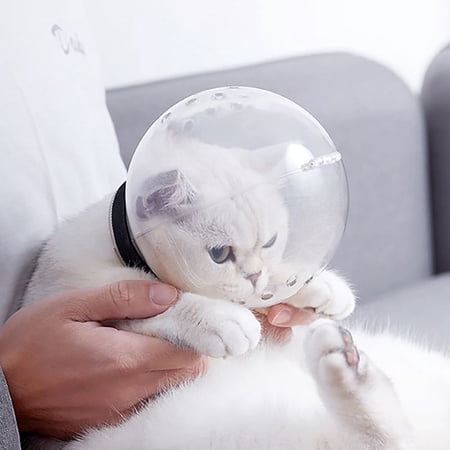 Cat Muzzle Anti Bite Breathable Grooming Mask Muzzles for Bitting