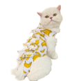 thumbnail image 1 of Cat Neutering Suit – Fruit Print Recovery Jumpsuit, Anti-Lick, Adjustable Post-Surgery Wear, 1 of 8