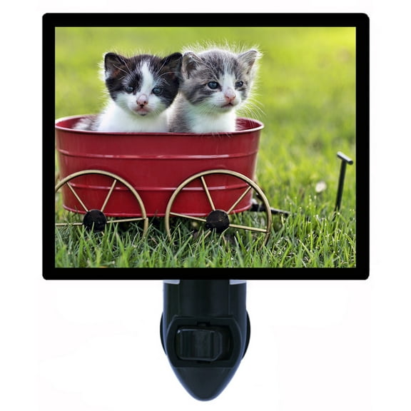 Night Light - Tiny Delivery. | Cat Theme, Includes Free Switchable Insert, 4W Bulb, E12 Base