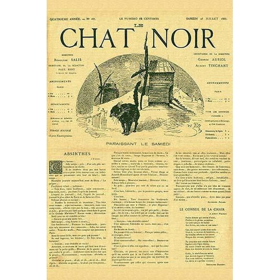 Cat Noir-Fine Art Canvas Print (20" x 30")
